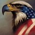 American Bald Eagles Club (@Bald_Eagles_USA) Twitter profile photo