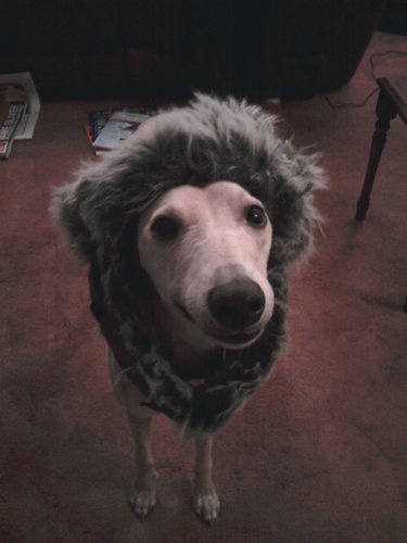 JTinjail's profile picture. Shh, I am @jtlovell1979, but only when he's in jail. The rest of the time I am sleeping.