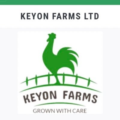 Knowing that agriculture is the future, we offer, #chickenfarming, #Sausagemaking, selling brooded layer hens, worldwide shipping Tel +250791568800