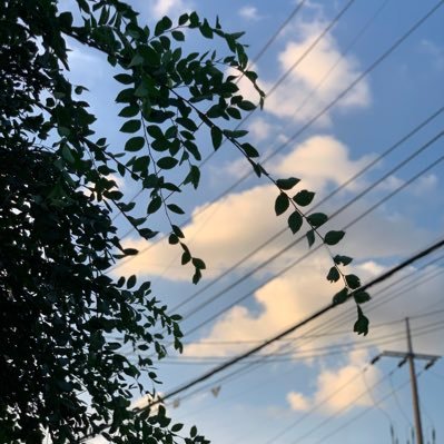 artnoliteo's profile picture. Life is Art, Life is Travel.