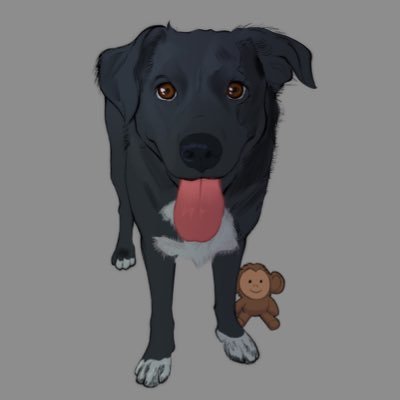 jocelyn_lobos97's profile picture. GWU Class of 2019