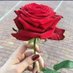 Hadi Khan (@wasimkh65789441) Twitter profile photo