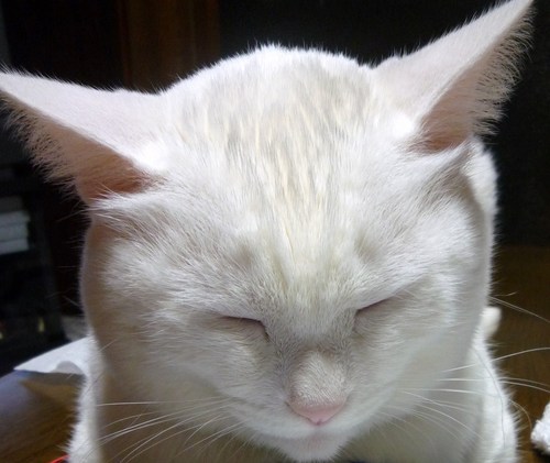 nami364's profile picture. 