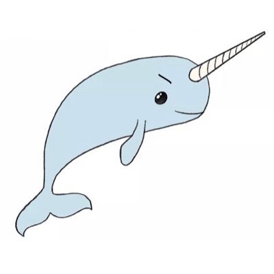 DannyTheNarwhal Profile Picture