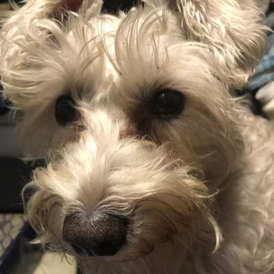 JRGHorner's profile picture. 