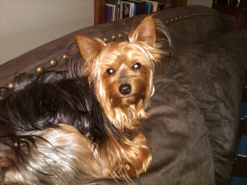 KimmyHC's profile picture. 