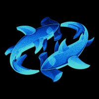 Poolshark Protocol 🦈 (@poolsharklabs) 's Twitter Profile Photo Poolshark Protocol 🦈 (@poolsharklabs) 's Twitter Profile Photo