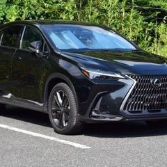 Lexus NX F SPORT I'm 33 year old just a normal girls. DM me if you wanna talk about cars.