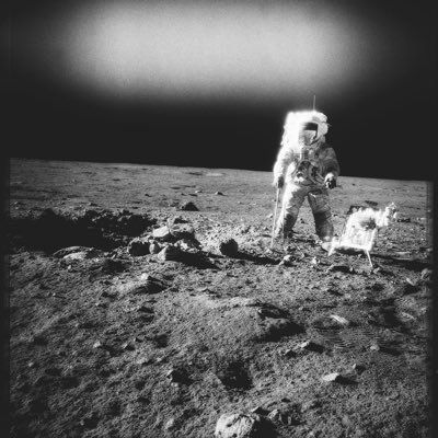 OpenYourMnd's profile picture. Senior Network Engineer with a unsatiable desire for knowledge around consciousness expansion, meditation, and the (super)natural.