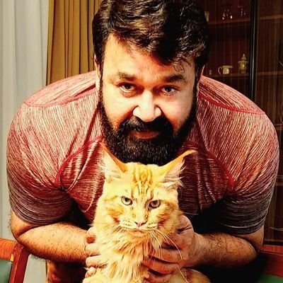 vigneshbabu43's profile picture. 