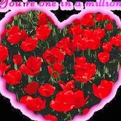 kadiyan71870's profile picture. 