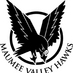 MV Hawks Athletics (@mvhawks) Twitter profile photo