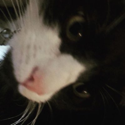 noapi0_'s profile picture. 