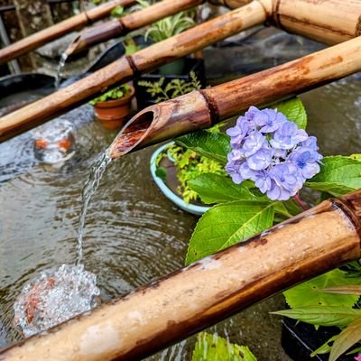 weiren173103's profile picture. 短歌を詠んだり、思ったことをつぶやいたり。わたしをつかまえられるのはわたしだけ!  しとしととかすみ揺らめく紫陽花の花弁を数える傘と雨音