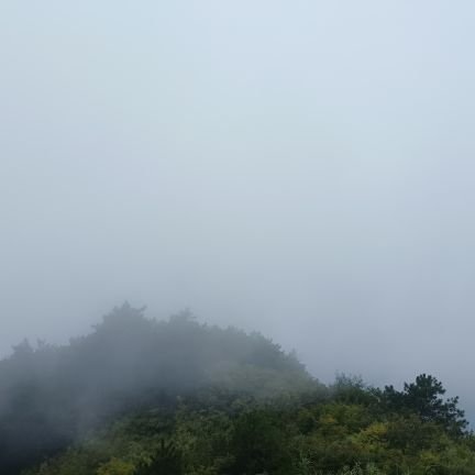 longchuanx3346's profile picture. 