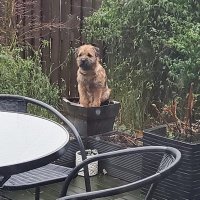 WilfyWoo (@woowilfy52958) 's Twitter Profile