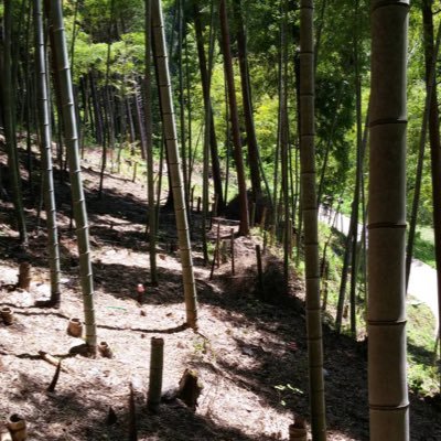 【作り直し】はや