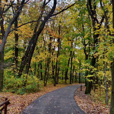 Chakradhar46191's profile picture. 