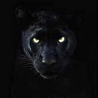 PARK Baseball ⚾️ (@kparkbaseball1) 's Twitter Profile