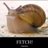 Snail