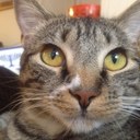 Elissa Ray - @waffle17 - Twitter