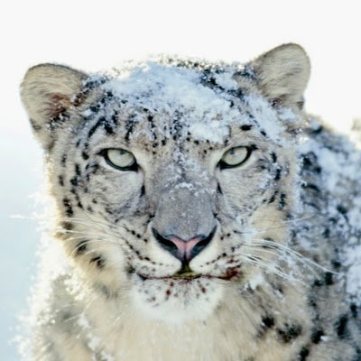 hornyboy4787's profile picture. 