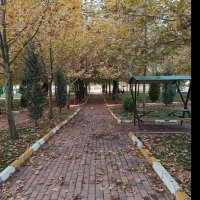 Lavinia Su (@laviniasu2001) Twitter profile photo