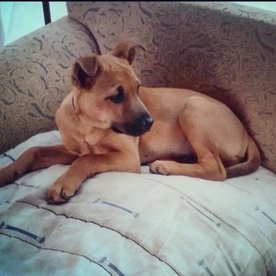 countrycode209's profile picture.