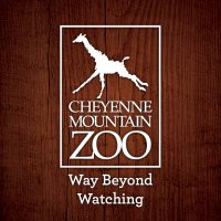 CheyenneMountainZoo (@cheyennemtnzoo) 's Twitter Profile Photo CheyenneMountainZoo (@cheyennemtnzoo) 's Twitter Profile Photo