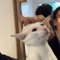 🇲🇦 (@_garbax_) 's Twitter Profile