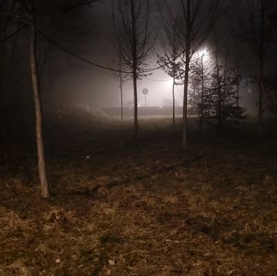 murrayguy88's profile picture. 