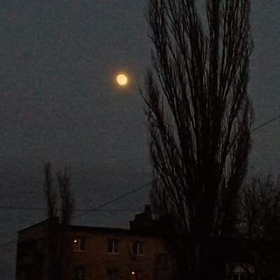 🖤Mon @_D_i_a_b_l_e_🖤
✨Фоточки природы моё все ✨
Ван пис, тм, китай фандом,генши,HQ,хср
#нетвойне