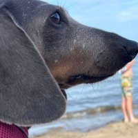 Mrs Malarky (@kath1109) 's Twitter Profile Photo Mrs Malarky (@kath1109) 's Twitter Profile Photo