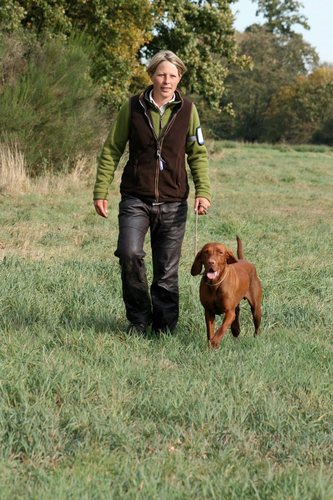Emma2hpr's profile picture. Professional gundog trainer for warrenby gundogs, structured training for HPR Retrievers and Spaniel from pets to shooting and competition standards 07770851762