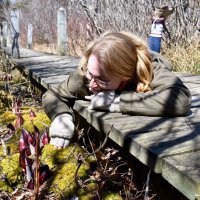 Rachel Kendall (@wildwetlandsns) Twitter profile photo