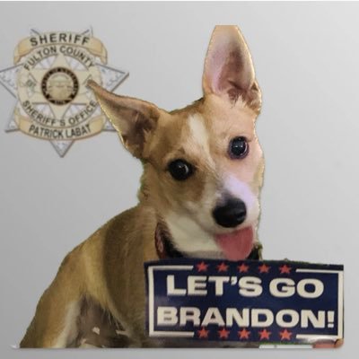 Susan67362939's profile picture. A Podengo who’s owner was a former Democrat living in California. AKC registered sharing my name with the greatest President EVER. My name is TRUMP 🍑🇺🇸❤️🍑