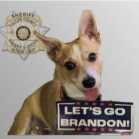 TrumpDog45 🇺🇸 (@susan67362939) 's Twitter Profile Photo TrumpDog45 🇺🇸 (@susan67362939) 's Twitter Profile Photo