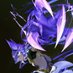 Grey Grd (@grdgrey) Twitter profile photo Grey Grd (@grdgrey) Twitter profile photo