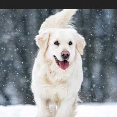 PhillyJuju63904's profile picture. 