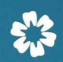 identist_chusid's profile picture. 