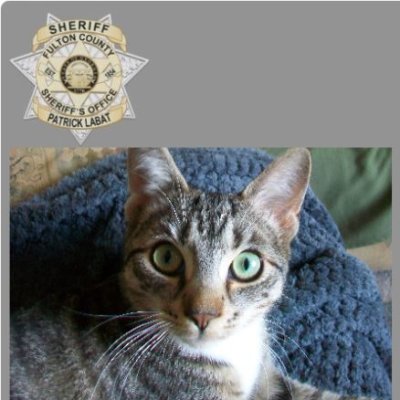 2021_account's profile picture. Biden is a national embarrassment. He killed 13 service members and 10 members of an innocent family. #DemocratsAreDestroyingAmerica
#BidenSUCKS