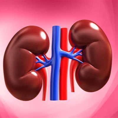 شعاراً الثقه مصدقيه
الطبي زراعة الأعضاء
تنبيه نحن لا نتعامل مع تركيا طبي نهاية