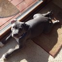 Devin Krompetz - @DeeVonKromps - Twitter