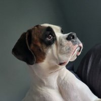 Jamin Lee (@jamminjamin33) 's Twitter Profile