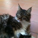 jessica parente - @Cionemimi88 - Twitter