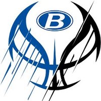 Blue Devils Travel Basketball (@bwicktravelbb) 's Twitter Profile