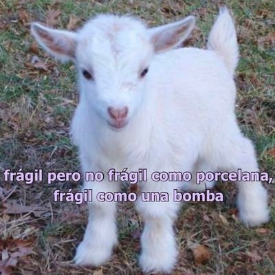 offsince93's profile picture. low