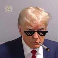 -MAC- (@fedup_patriot) 's Twitter Profile