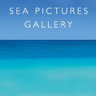 Sea Pictures Gallery(@seapictures) 's Twitter Profile Photo