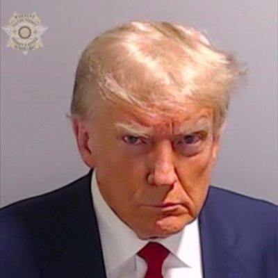 TrumpVoterInMN Profile Picture